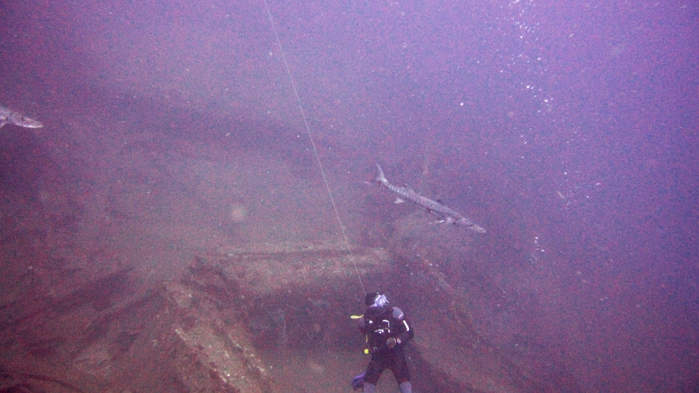 Anyway, onto some wrecks. Dive leader Gary looks warily at a huge Great barracuda (Sphyraena barracuda) at 35m on the Bianca C wreck.