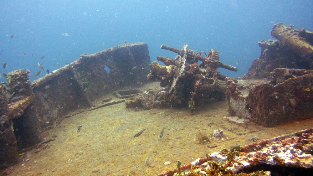 The sharp end of the Veronica L.