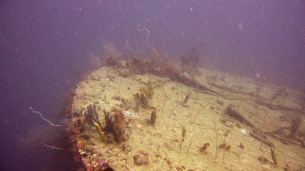 The stern of the Bianca C.