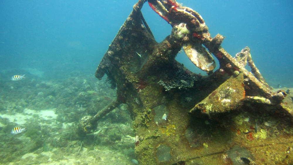The propellor and rudder post at Quarter Wreck. 