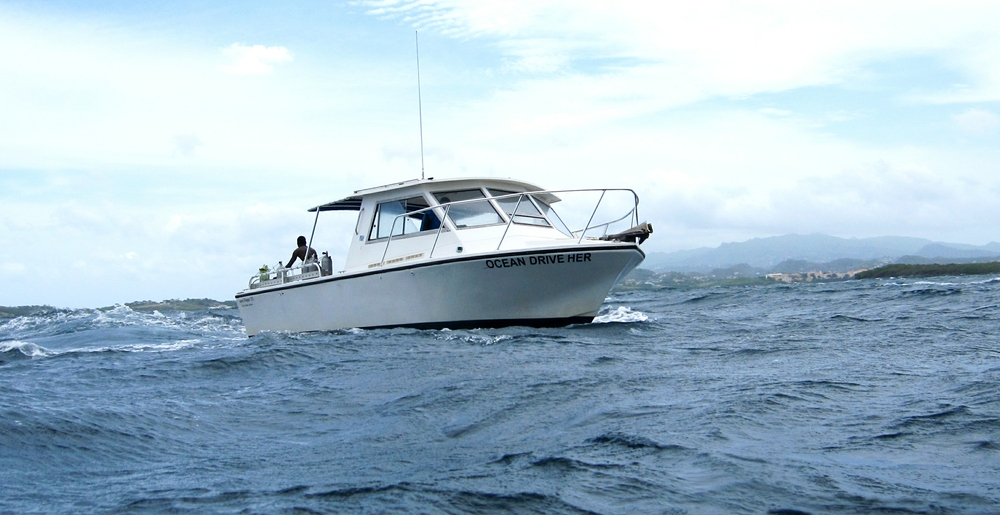 Our dive boat comes to pick us up at Shark Reef. 