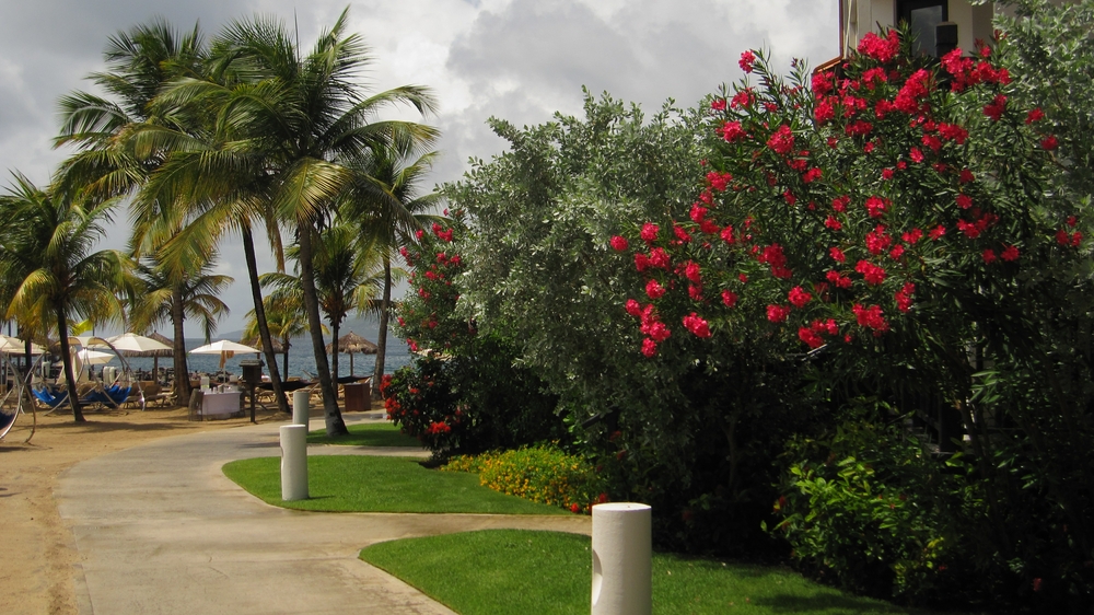 The path in front of the Pink Gin buildings leading on towards the Watersports centre. 