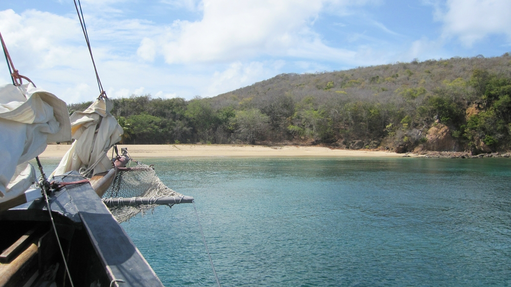 The first snorkelling stop at the end of the deserted beach of Saline Bay on Mayreau. I saw a Spiny Lobster among the rocks on the right.