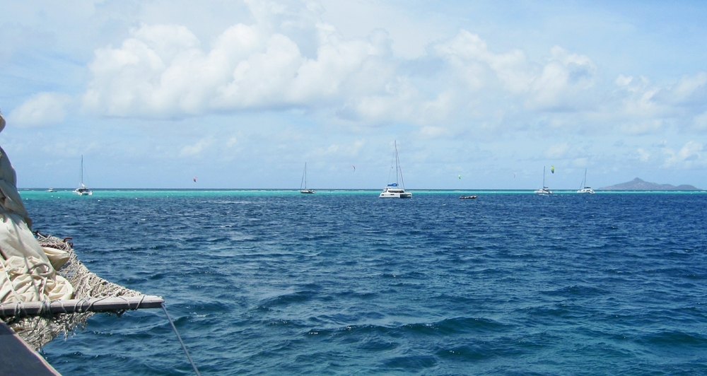 The second snorkelling stop, in the Tobago Cays - a popular anchorage and, as you can see, a good place to kite-surf. We 
          snorkelled with lots of Green turtles and Southern stingrays, before having lunch on the boat.