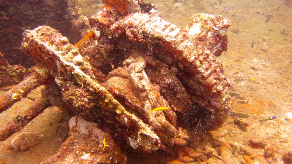 Coral-encrusted machinery on the Veronica L.