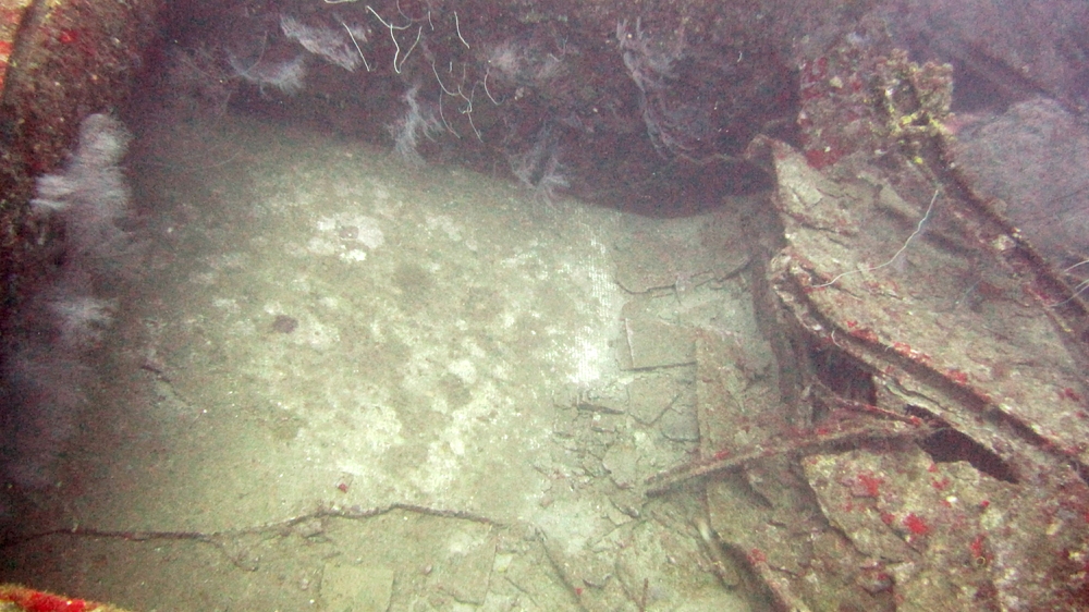 The upper-deck swimming pool on the Bianca C wreck.