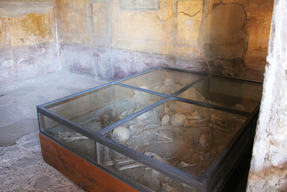 This case contains the skeletons of several people found in this room. There are several theories: one is that they were servants who were trapped
        in the room due to the volcanic ash piling up outside the door, and they were trying to chip their way out through a wall. Another is that they were
        thieves who came to the house after the eruption to steal whatever they could find, but were killed when the roof collapsed.