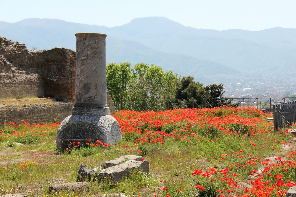 We've left the main forum, and are heading for the Marine Gate (Porta Marina), and the way out of the town. The shoreline used to be a lot closer to Pompeii -
        the land has risen over the centuries, and the sea has retreated. 