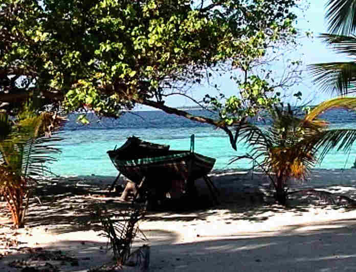 Dhoni on the beach