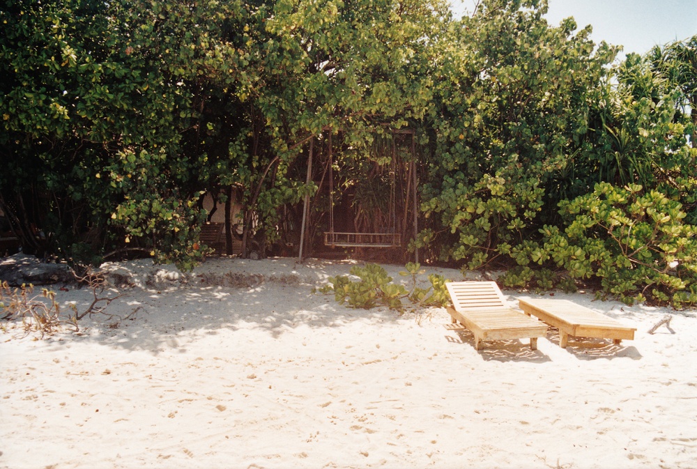 The swing outside our room (in the trees).