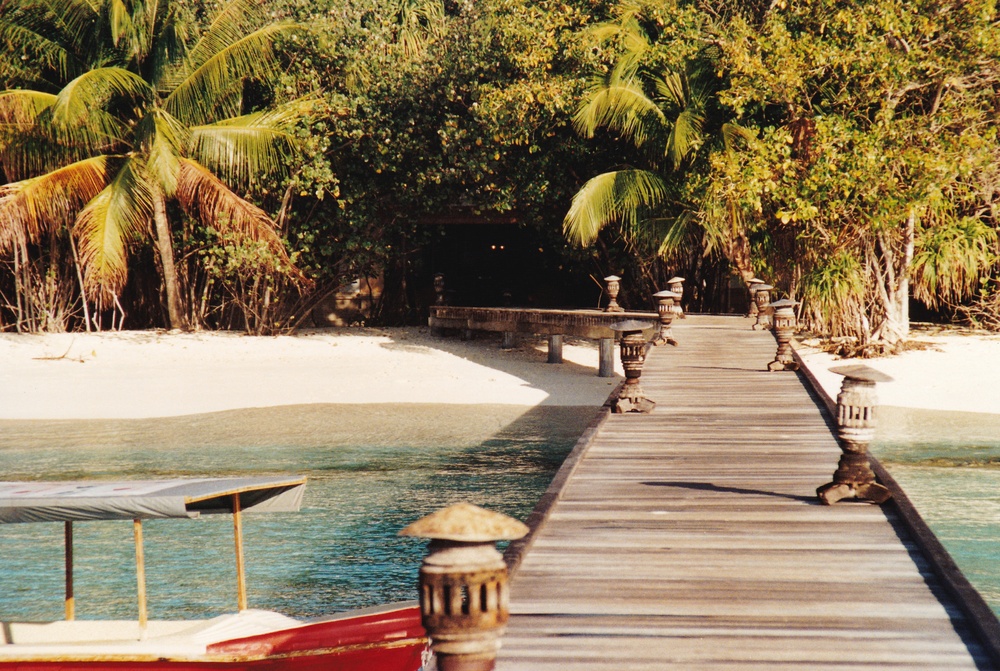 Walking up the jetty to Reception (amongst the trees).