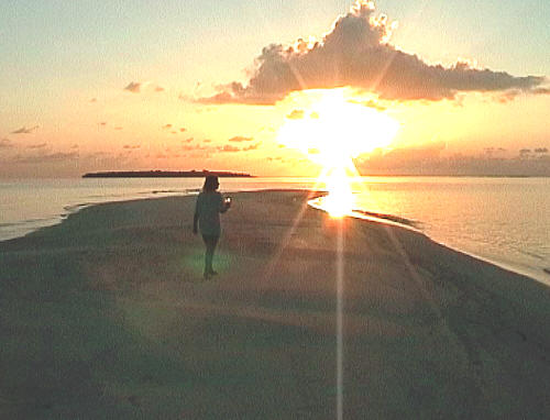 On the sandbar.