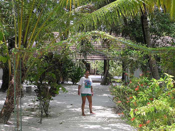 Shady walkways around the island. (154k)