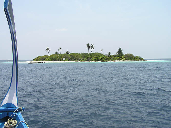 Robinson Crusoe island - Eboodhoo.  (62k)