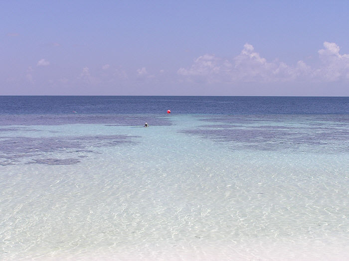 The cut through the reef to the drop off right outside our room.  (53k)