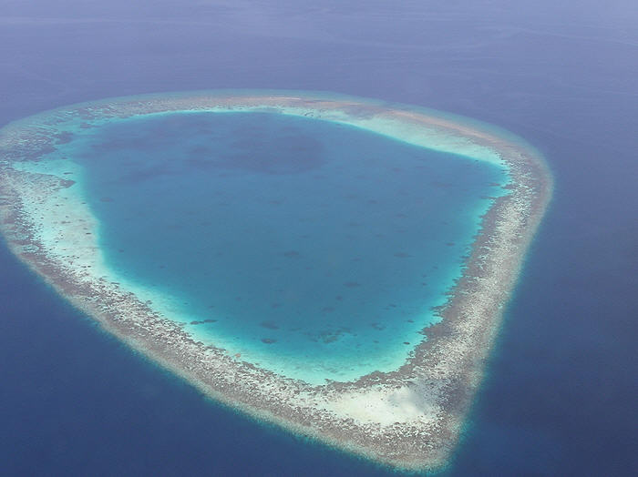 A coral reef from the air.  (41k)