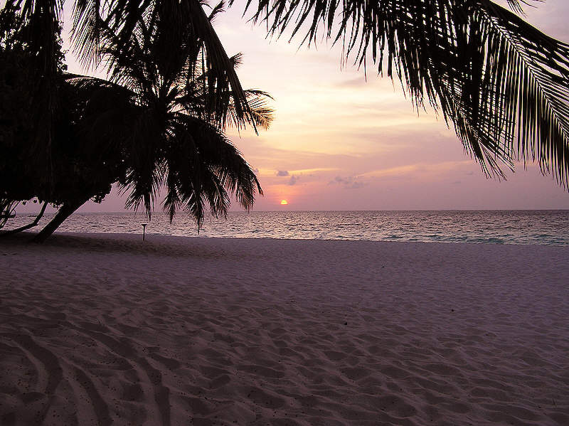 Sunset over the beach outside our room.   (97k)