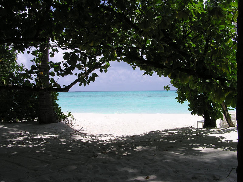 The view from our verandah through the trees onto the beach and the sea.  (112k)