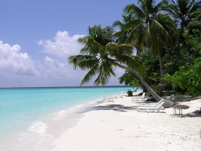 The beach outside our room. (96k)