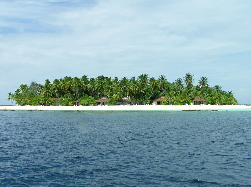 The wide coral sand beach on the northern and eastern sides of the island.  (84k)