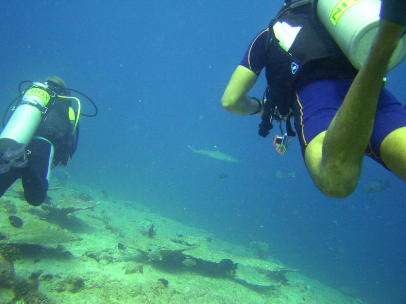 After I scraped some skin off my forearm on some coral at Panettone Kandu and start leaking blood into the water
        (it looks black under water), this white-tip reef shark came to investigate.
        I hastily pushed a couple of other divers between me and it....  (79k)