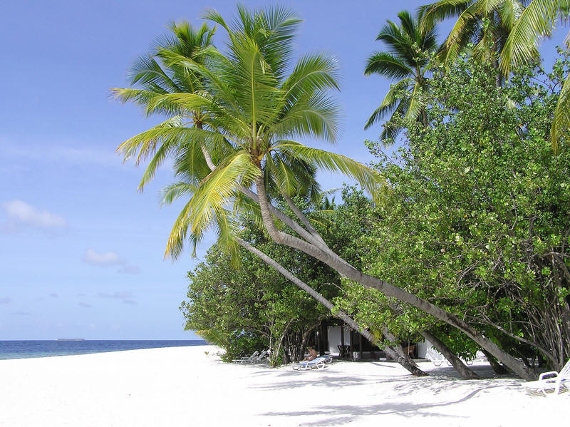 The beach on the north side of the island.  (139k)