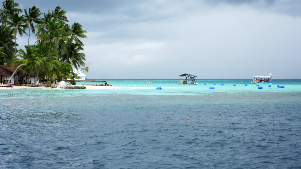 The dredging that ruined the snorkelling on the east side of the island for us this year.�The pontoon in the middle is vacuuming sand from the seabed,
        pumping it through a pipe suspended from the line of blue buoys, and spewing it out into the shallows in a fountain of white water towards the left.  (139k)