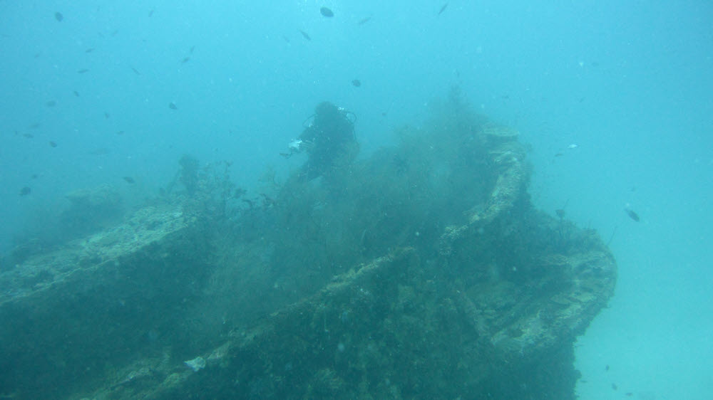 It always seems to be a bit murky at Fesdu Wreck, but the nearby thila and reef seem to be much clearer. (57k)