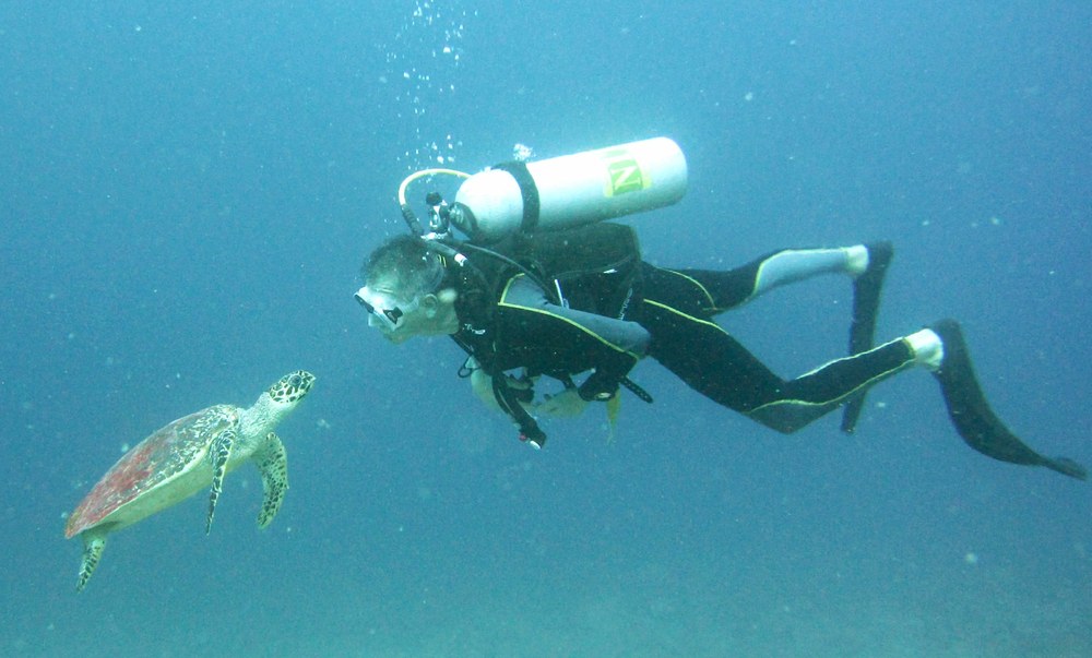 At Kuda Miaru Thila this Hawksbill turtle (Eretmochelys imbricata) swam right up to my buddy Italo and peered into his mask. Italo 
				removed his regulator and tried to kiss it. Italians, eh?