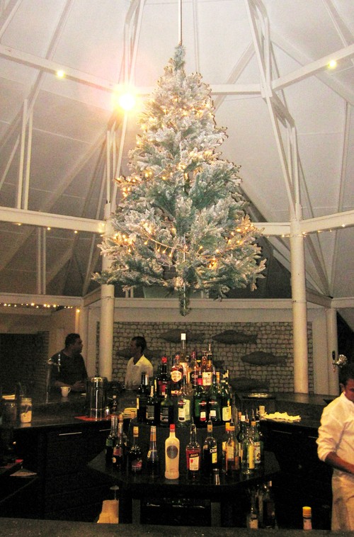Another tree is suspended from the roof above the Main Bar.