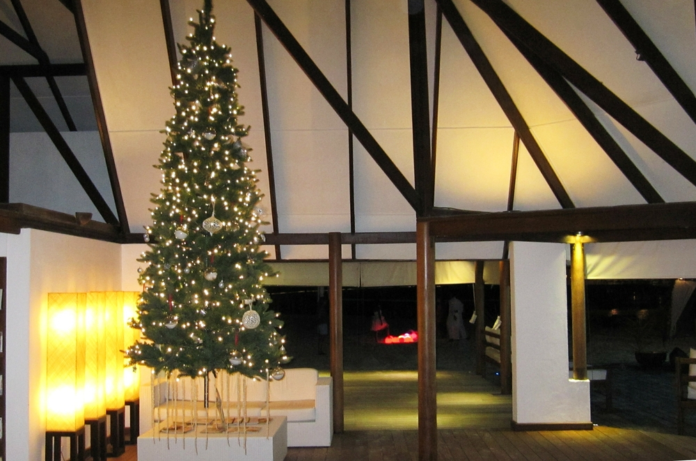 The Italian-run island enters into the festive spirit. The Christmas tree in Reception is slung from the ceiling!