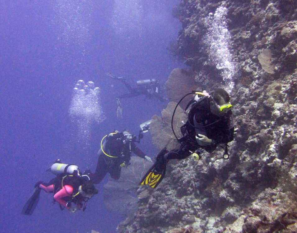 Roberto leads a bunch of divers at Ali Thila.