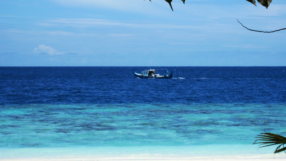 A fishing vessel motors past our room.