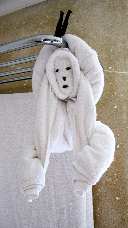 Another example of Ahmed's towel art.