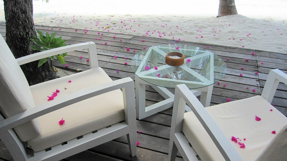 Bougainvillea leaves lie scattered under a tree in the Main Bar.