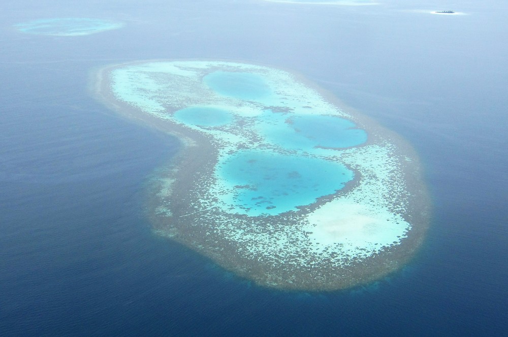 Coral reefs from the seaplane, clearly visible through several meters of ocean.