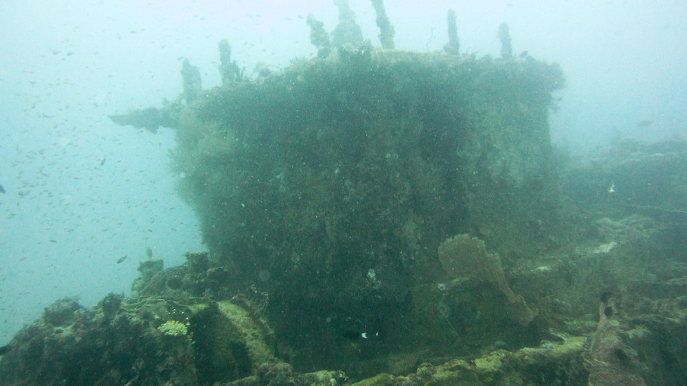 The remaining photos were all taken at Fesdu Wreck. Here the wheelhouse looms out of the murk at 25 metres.
