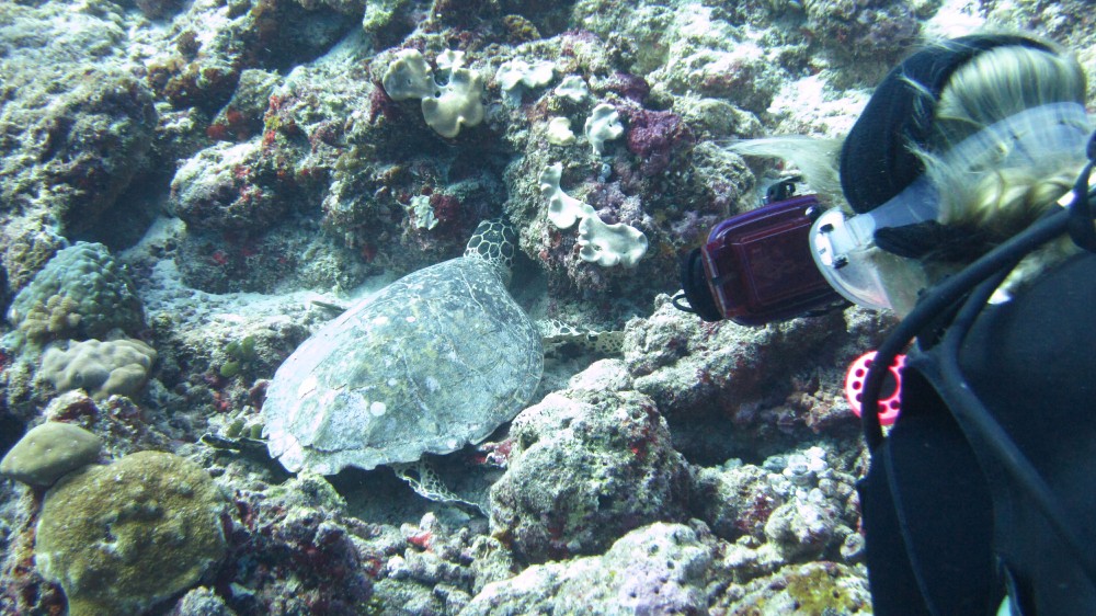 Nicoletta snaps another one at the atoll edge in Moofushi Kandu after we drifted in from Maavaru Corner.