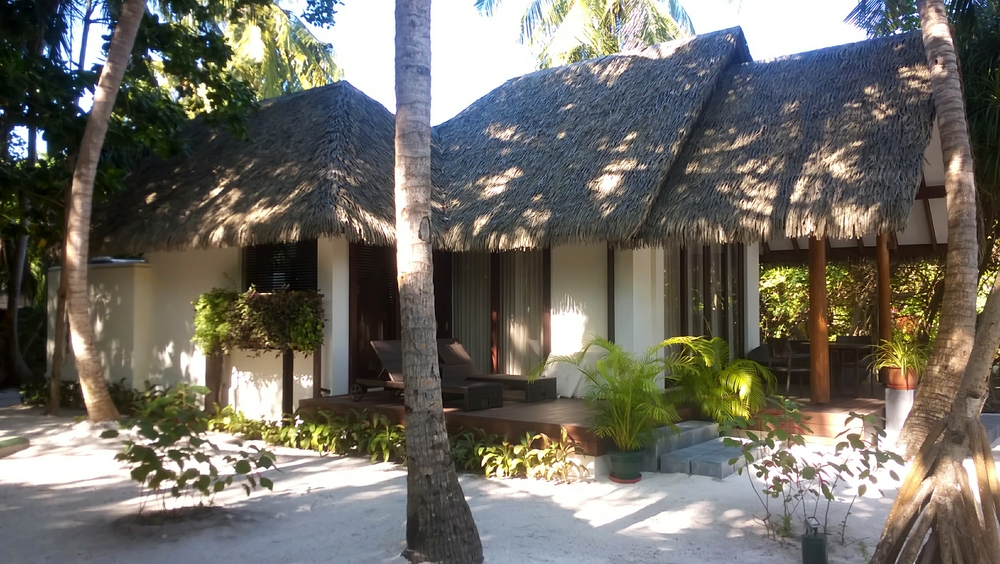 There are some luxury villas set back from the beach among the trees.
