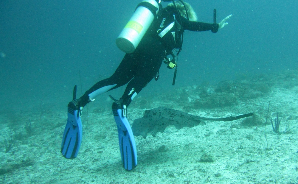 Sandra makes room for an unconcerned Stingray (Taeniura melanospila) at Maavaru Corner.