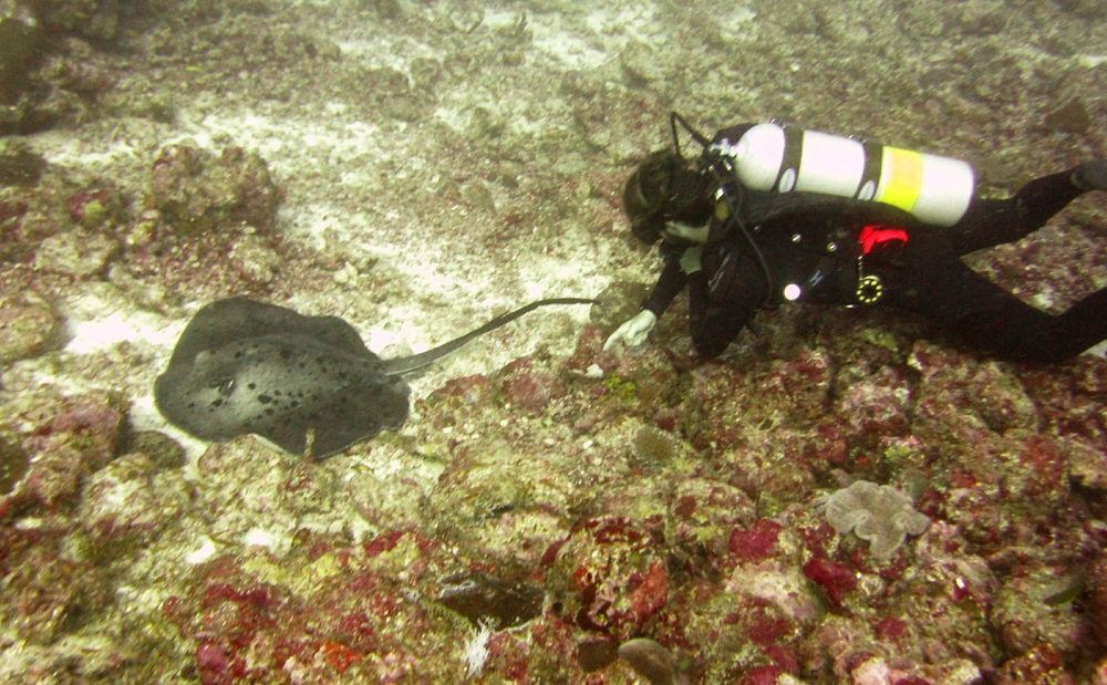 Dive master Federico makes friends with one at Thudufushi Thila. 