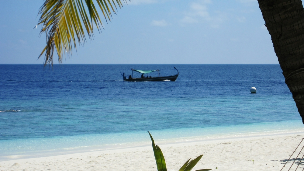 A local fisherman passes by in front of our room.