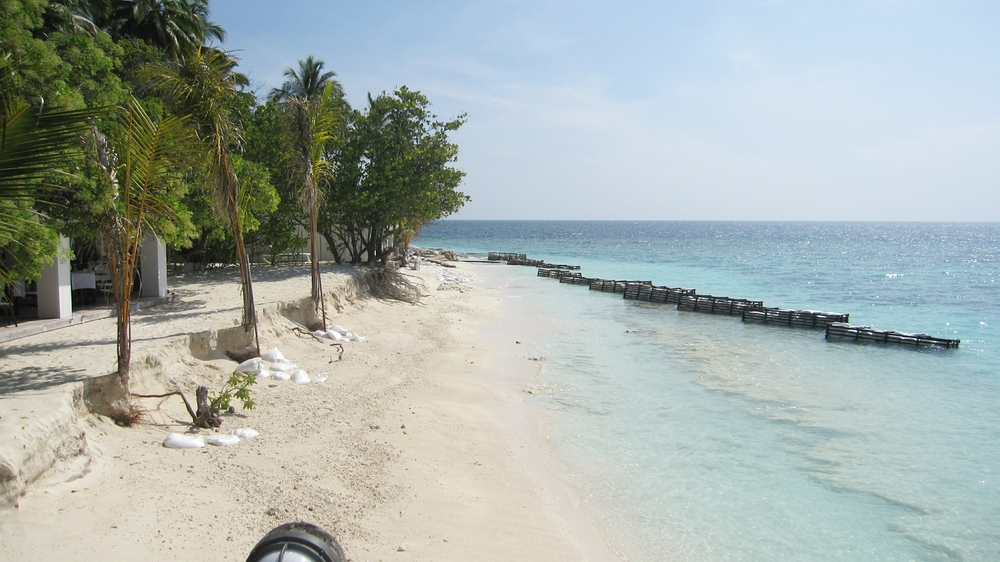 The beach outside the restaurant is severely eroded. Compare with the next photo, taken from more or less the same spot 13 months previously. 
            The ground staff have planted some palm trees to stabilise the sand, but they are looking precarious.