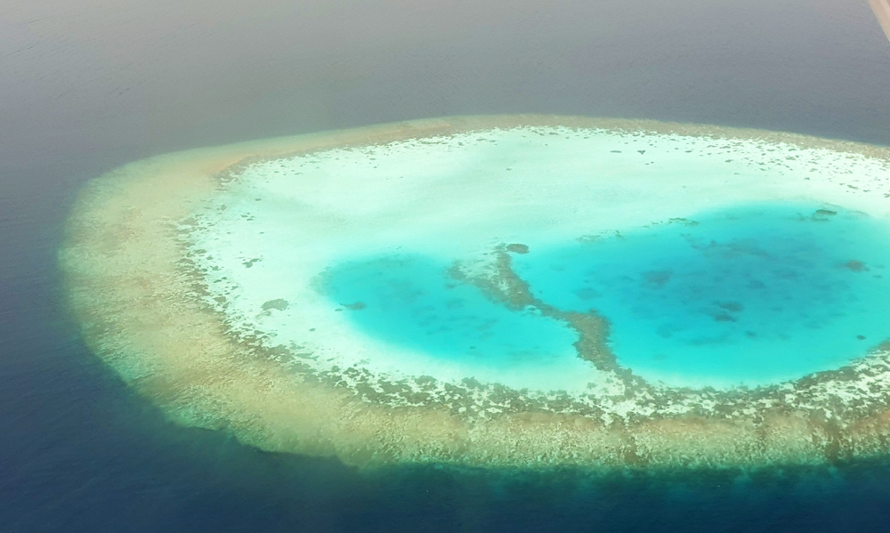 Flying over a coral reef a few minutes later. None of this is above sea-level - you're looking through several metres of crystal-clear Indian Ocean.