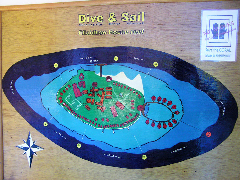 Map of the house reef showing entry/exit points (yellow blobs). The dive staff will carry your kit to and from these points. You can leave your tank
        on the bench at these points after the dive.  (182k)