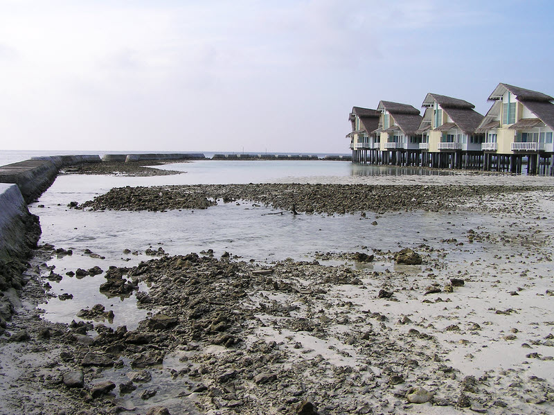 The beach looks less attractive at low tide....  (168k)