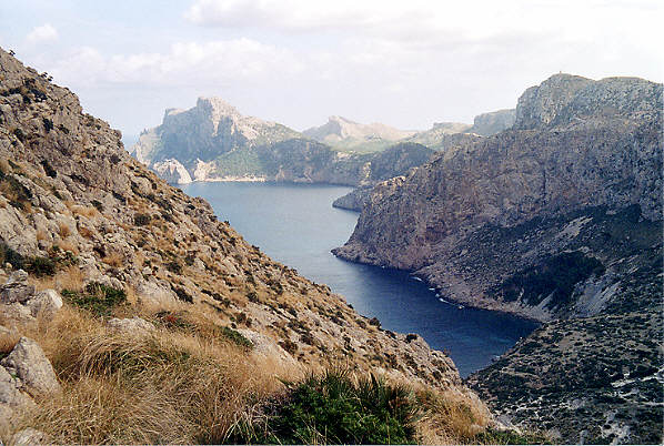 At the far end of the Boquer valley is a secluded cove where we ate our lunch, with goats begging for scraps. (72k)