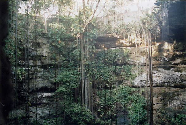 The nearby cenote at Ik Kil. (56k)