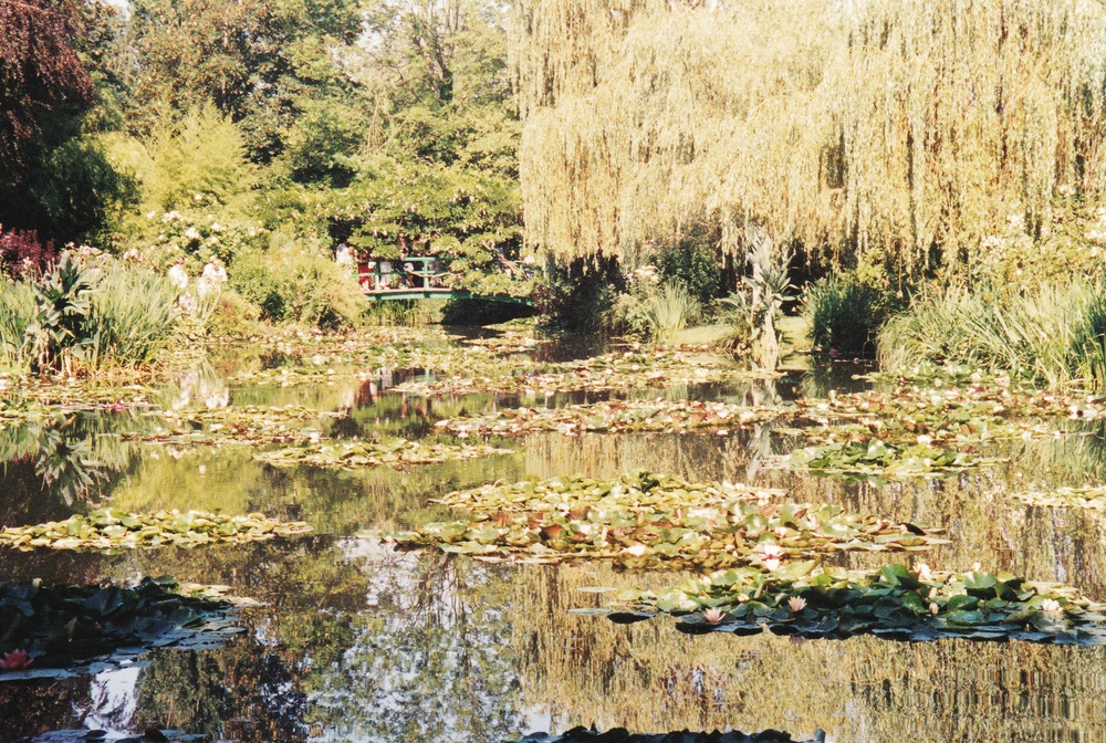 The famous lily pond and green-painted bridge in the Japanese garden.  A bit more overgrown than Monet's painting...