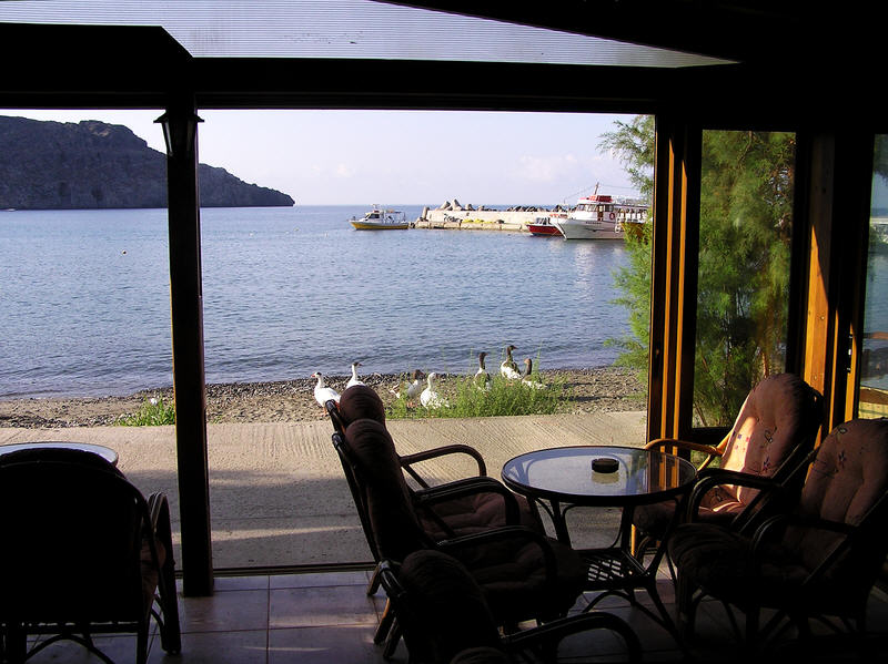 Looking out from a coffee-bar over the small harbour.  The geese are always to be found on the beach or swimming around the harbour boats. (94k)